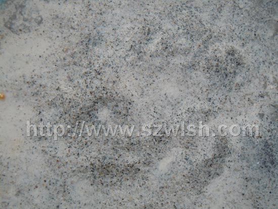 ��L(zh��ng)ʯ